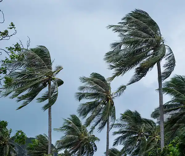 Wind load resistance engineering diagram